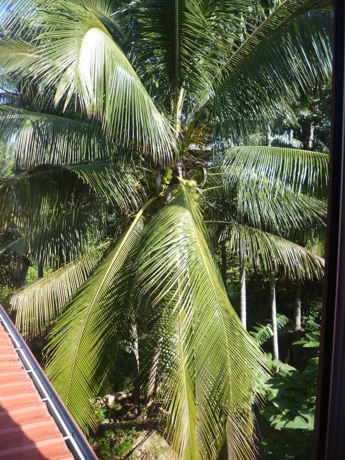 Evening Star Guest Inn Kandy Exterior photo