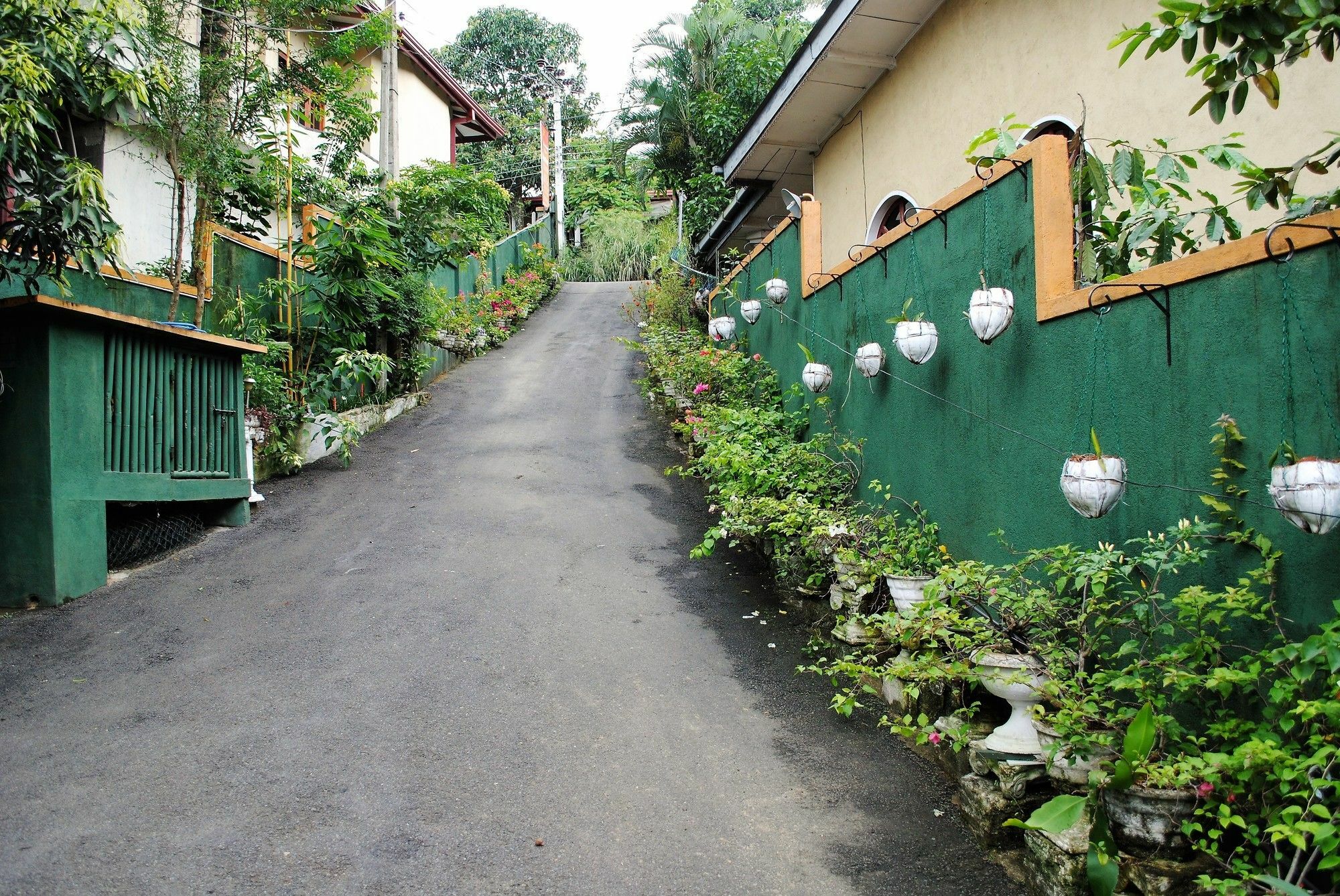 Evening Star Guest Inn Kandy Exterior photo